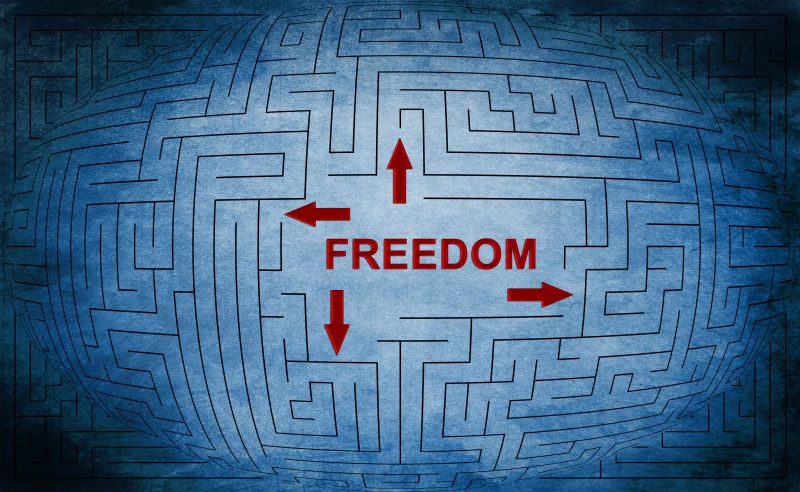 경제적자유-freedom-미로